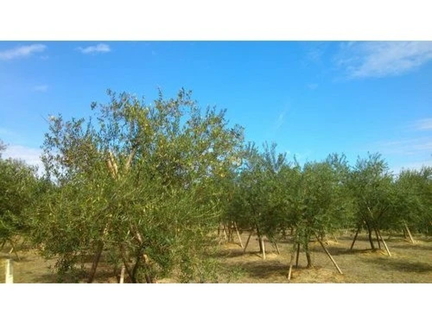 Amakusa Onsen Hotel Shikisakikan