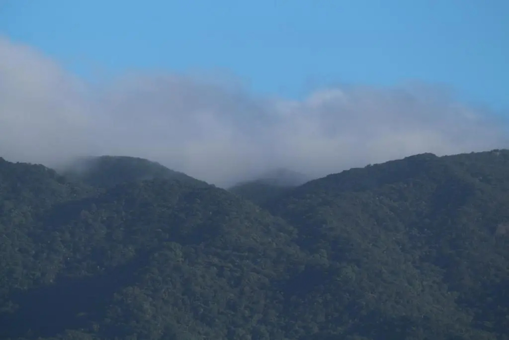 Mossman Gorge Bed and Breakfast