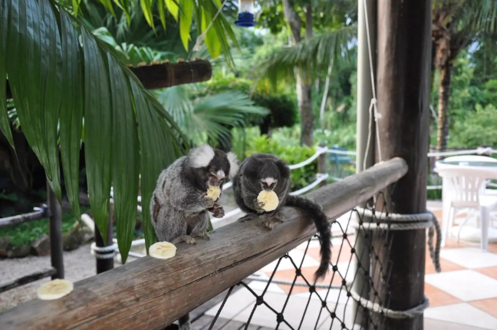 Pousada Aguas de Paratii