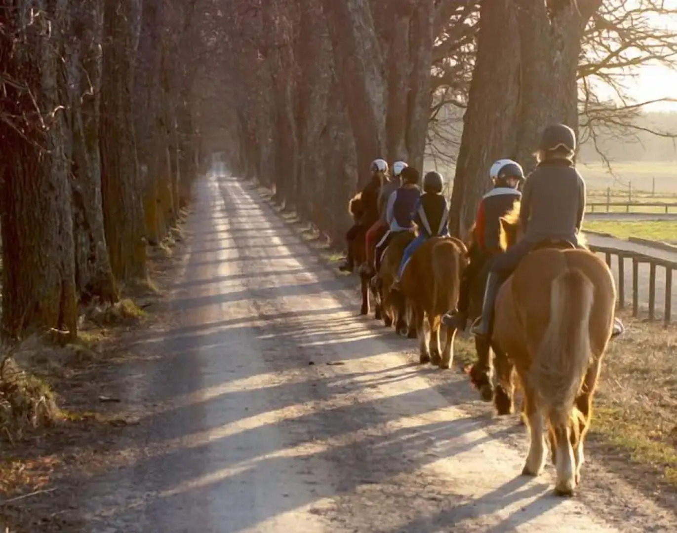 Stenholmen Gårdshotell