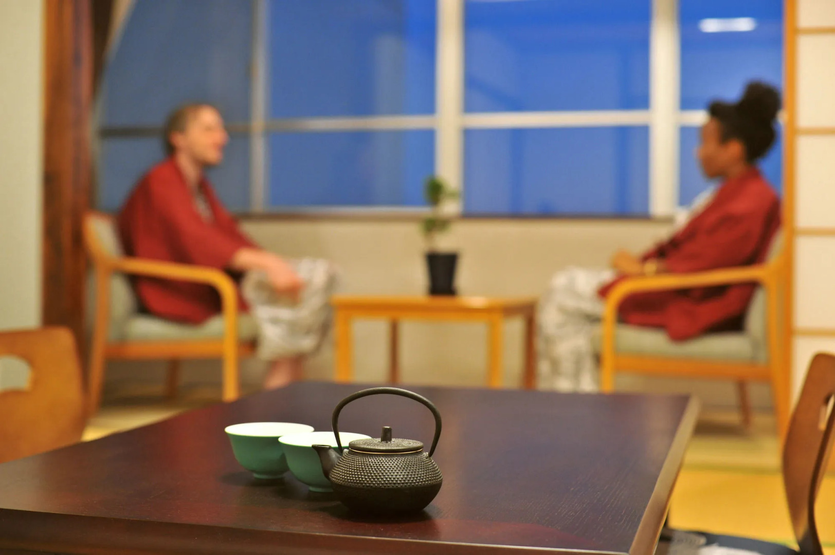 Onsen Hostel Hinoemi