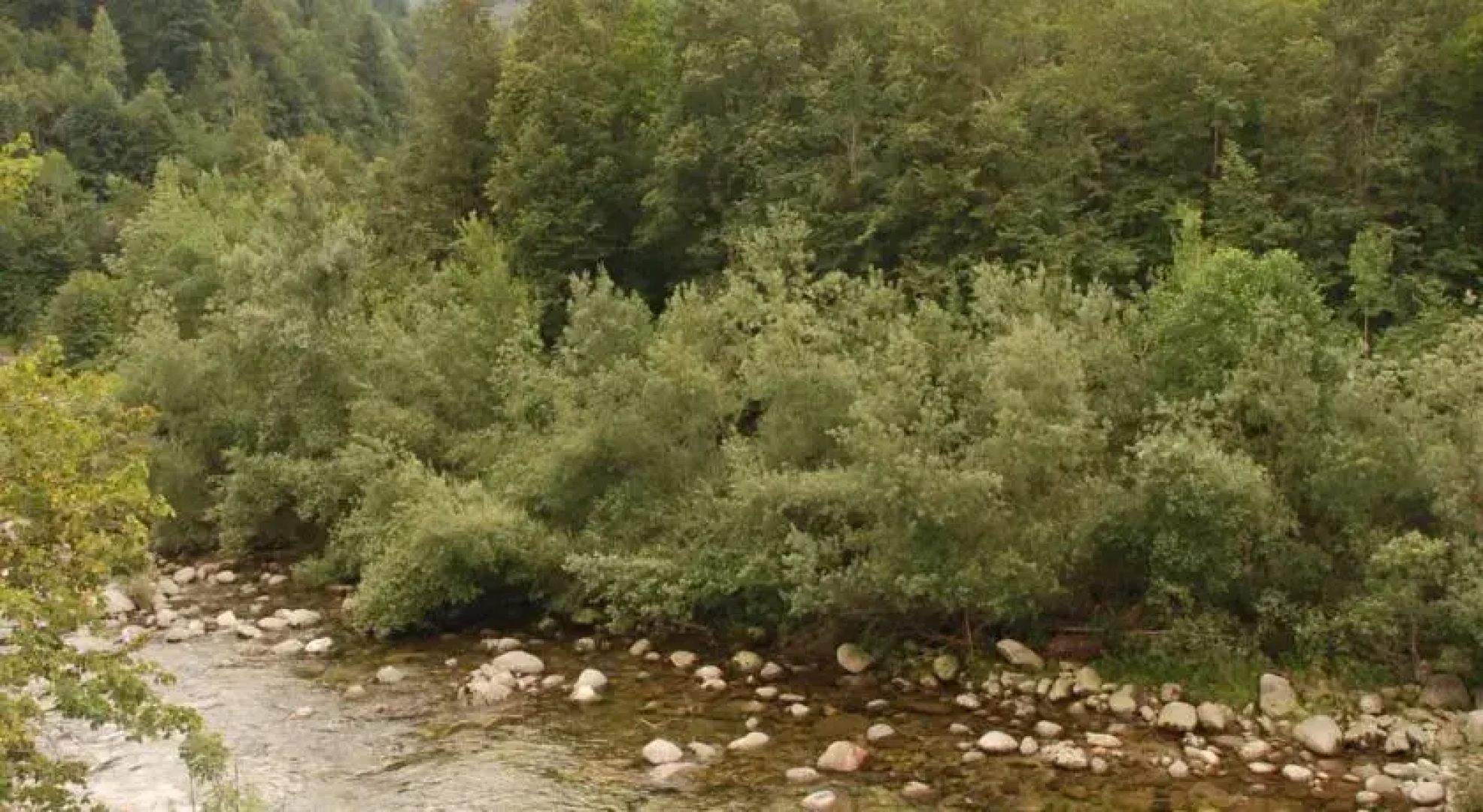 Foresteria Valsesia