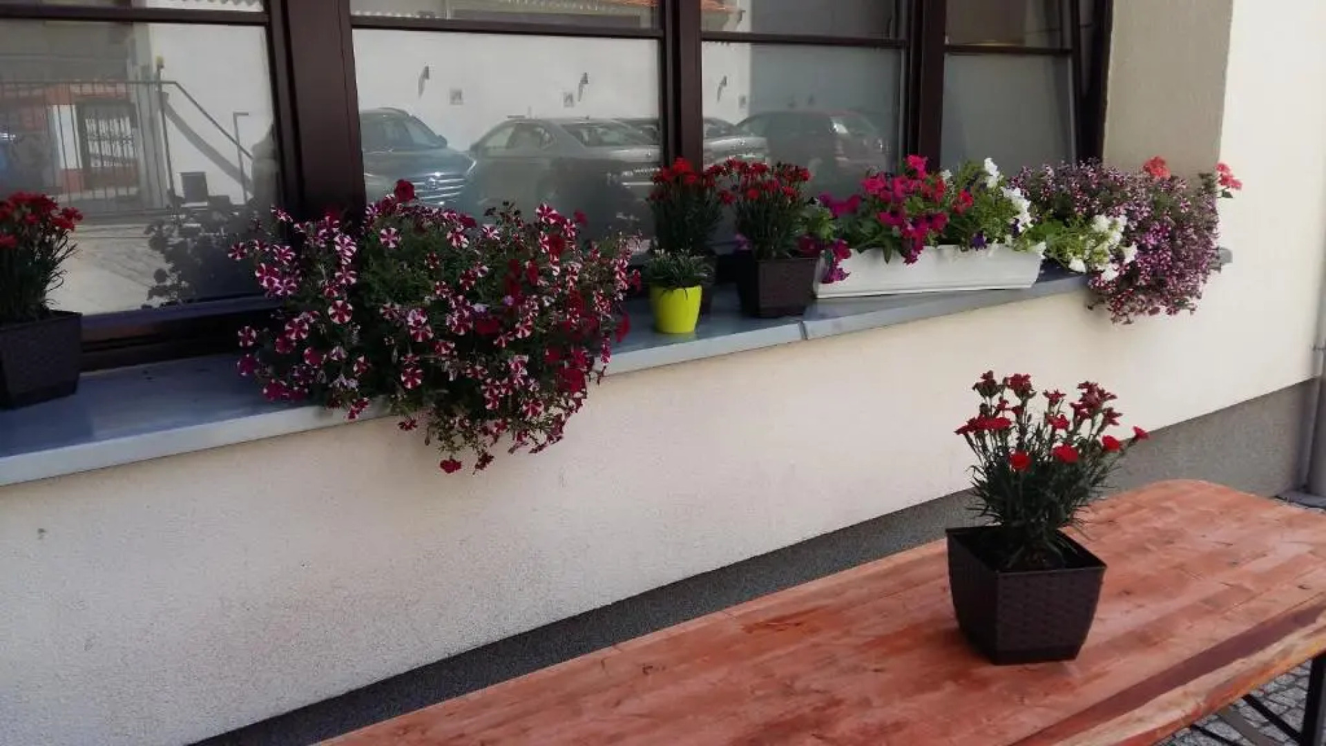 Kamienica Pod Aniolami