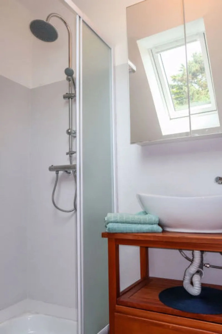 Les Hortensias (PZV107)