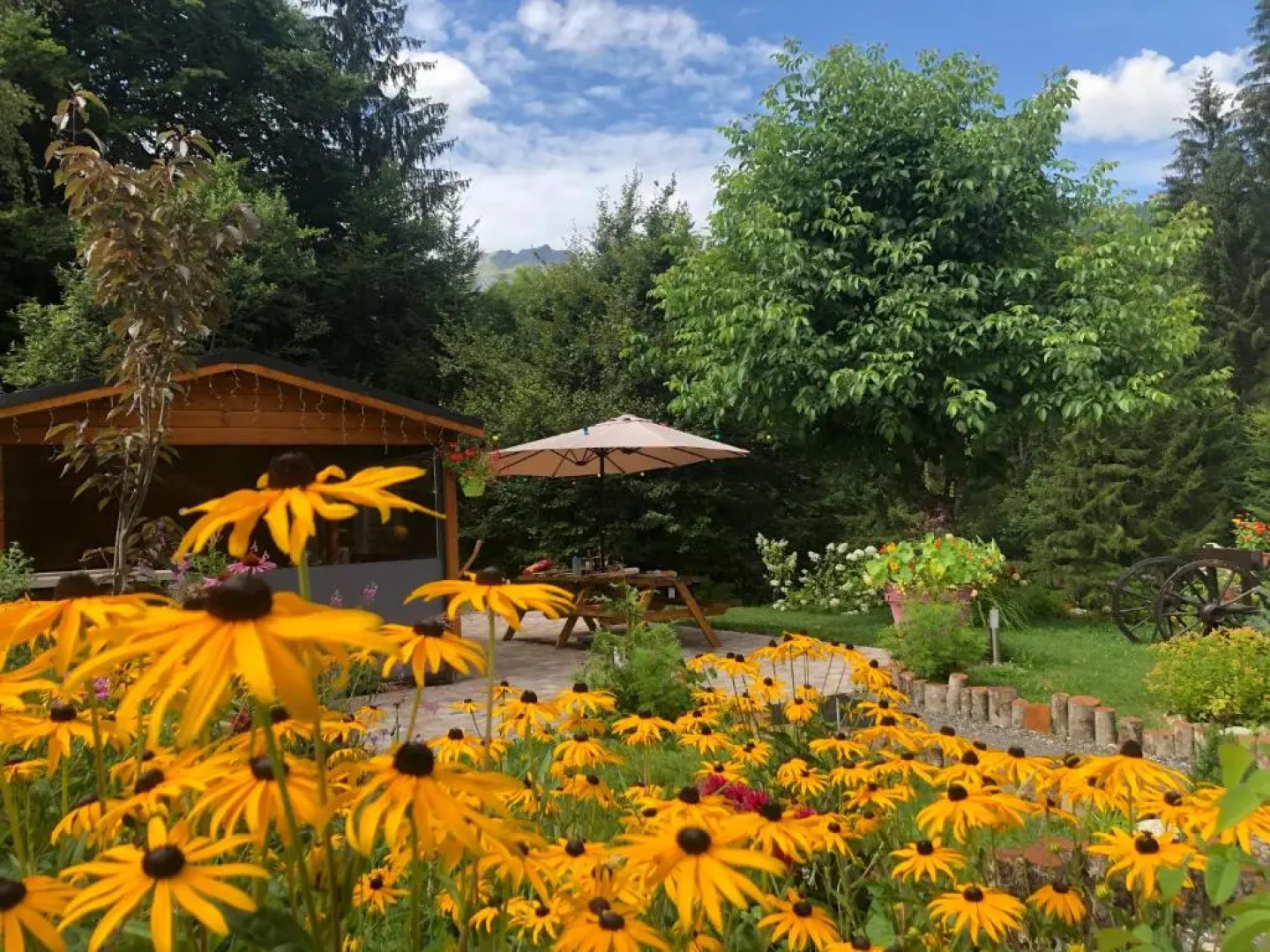 Le Moulin des Olirics