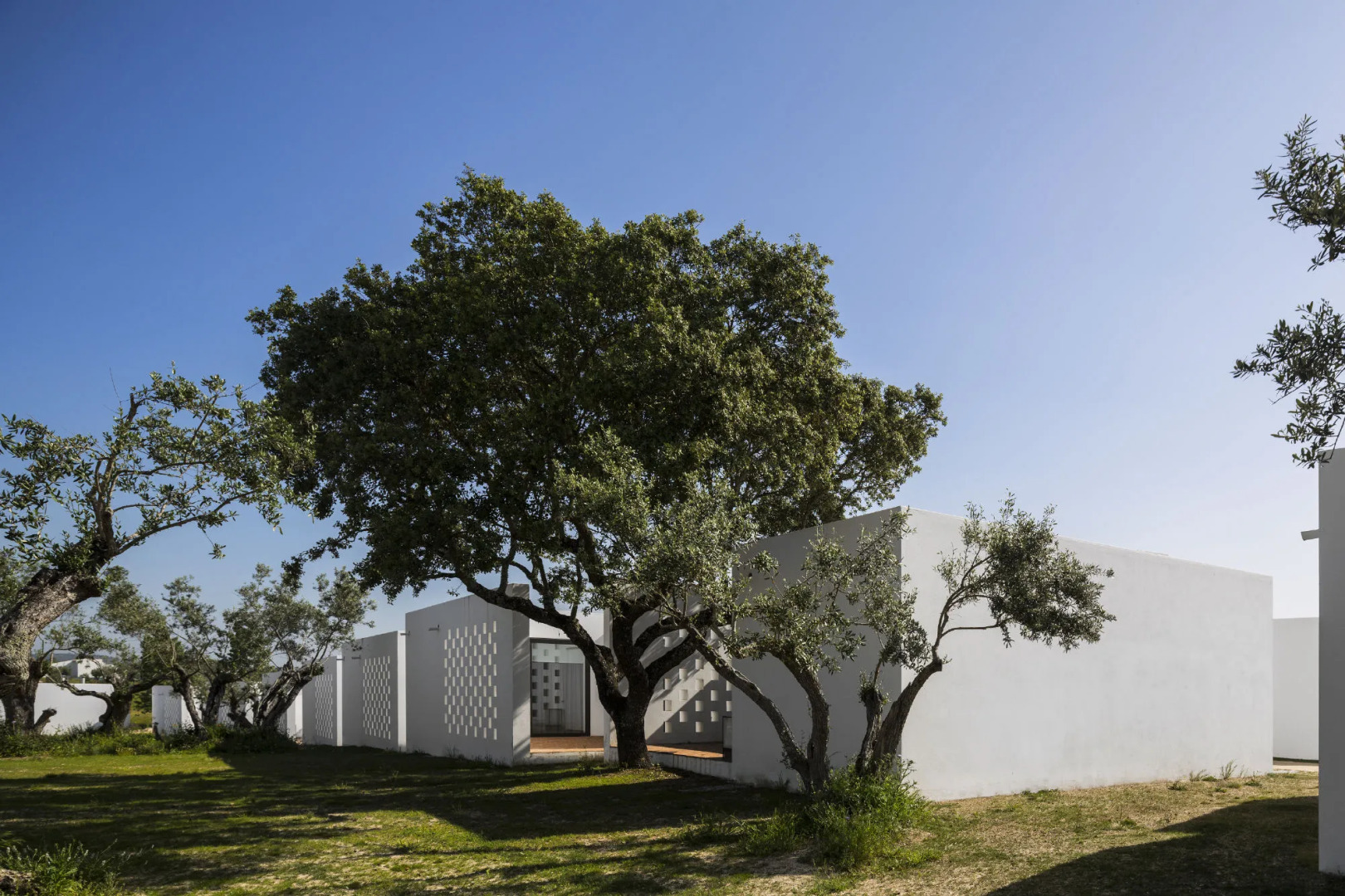 The Lince Ecorkhotel Évora