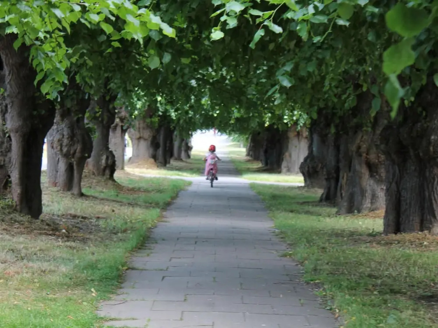 Wohnung mit Terrasse in Warnkenhagen