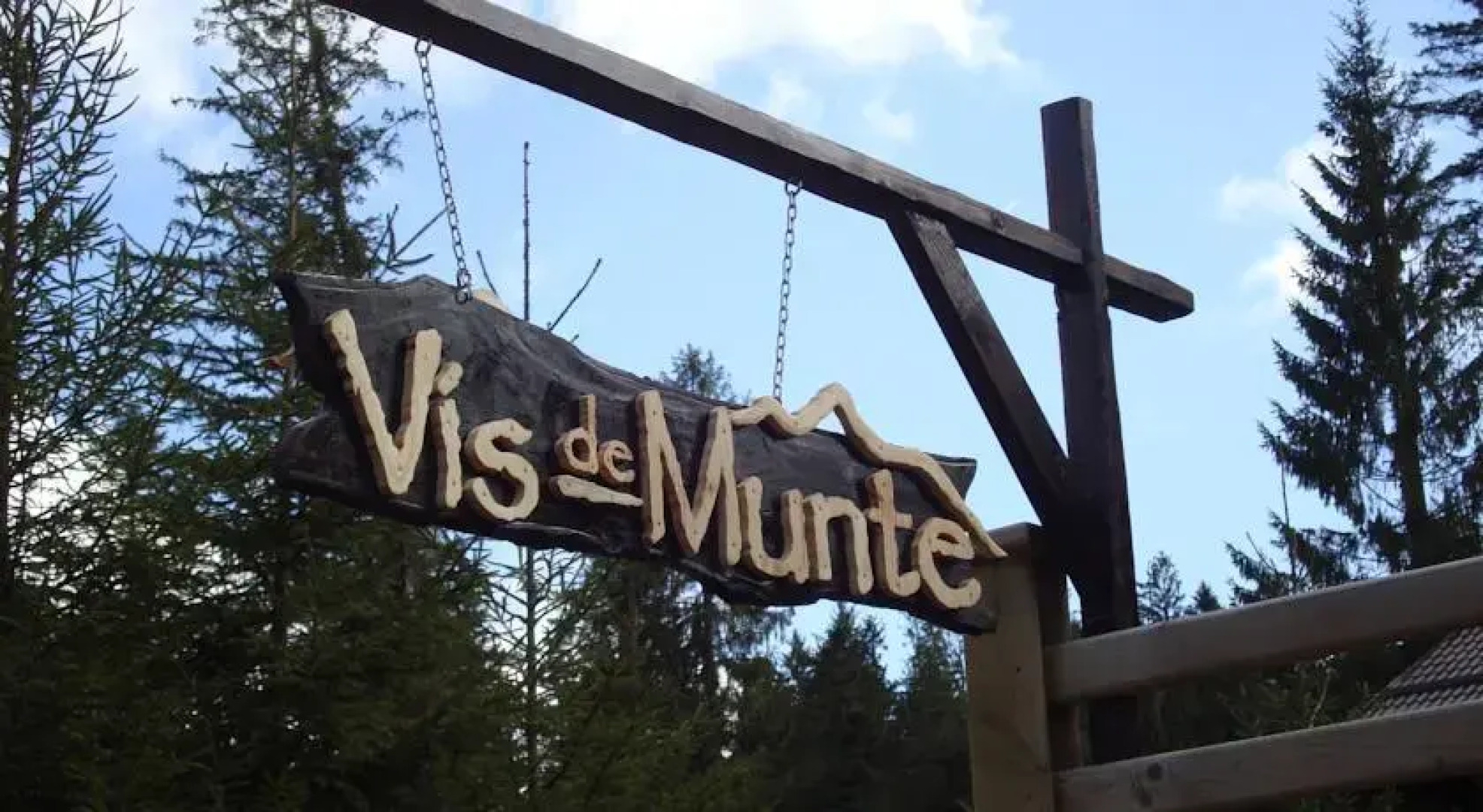 Vis de Munte
