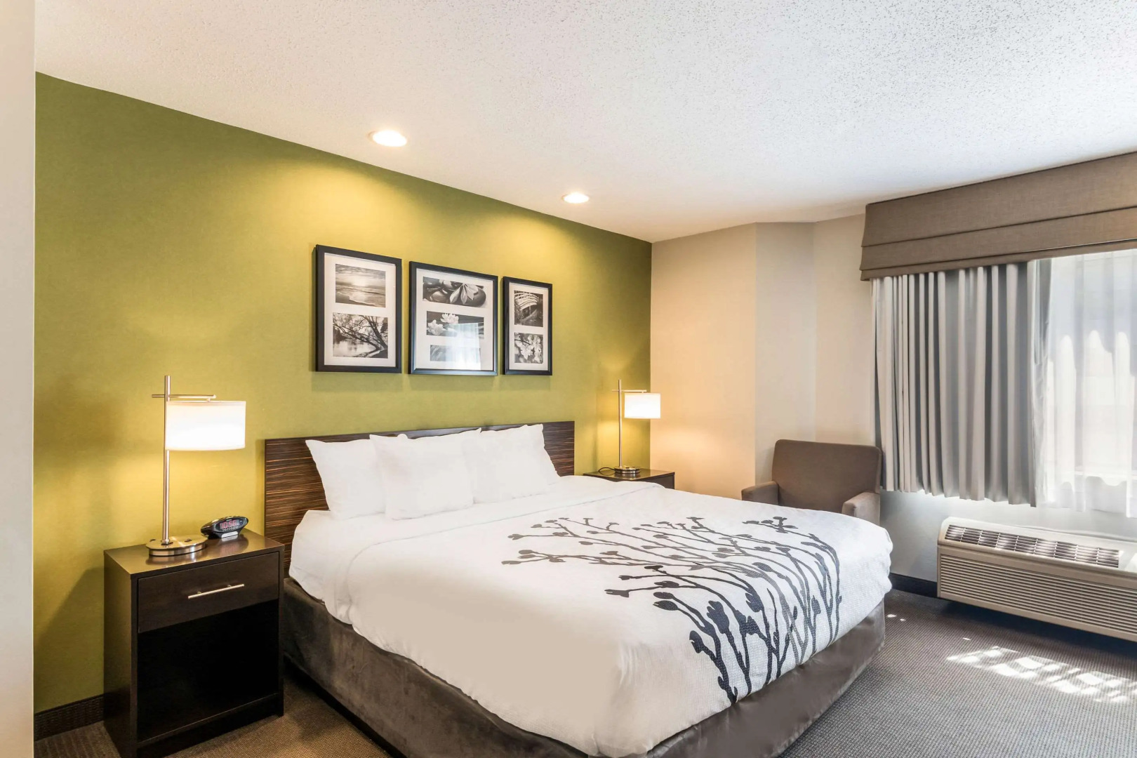 Sleep Inn & Suites Niantic North