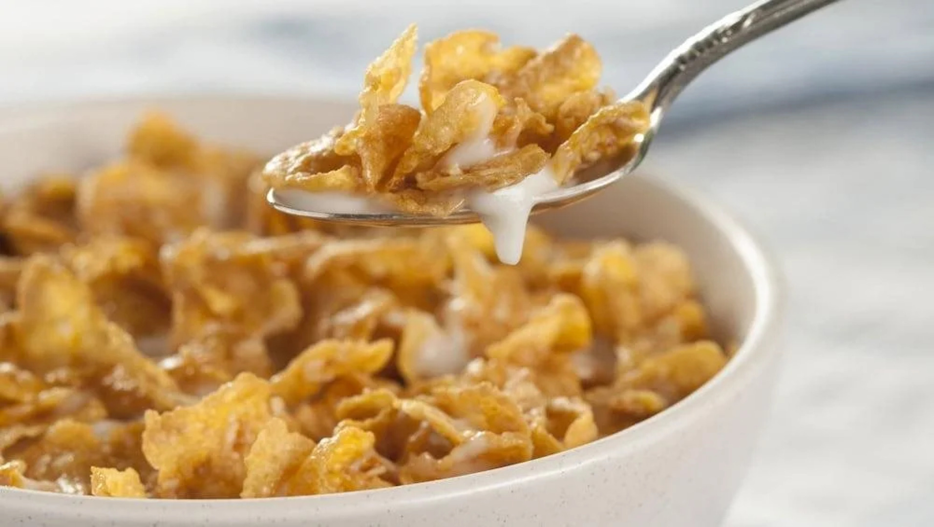 Mangnuson Hotel East Sandusky