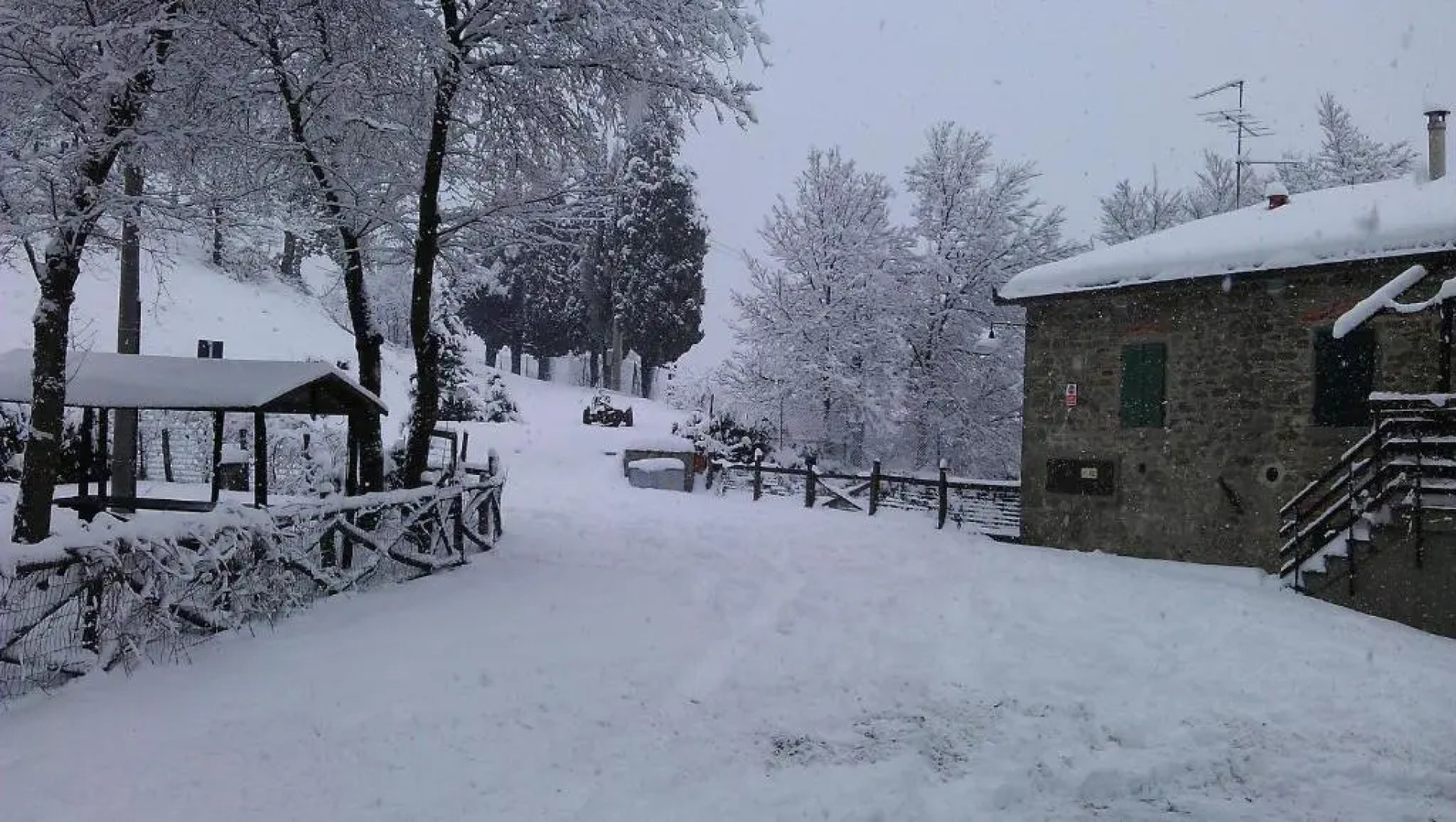 Agriturismo Podere Omomorto