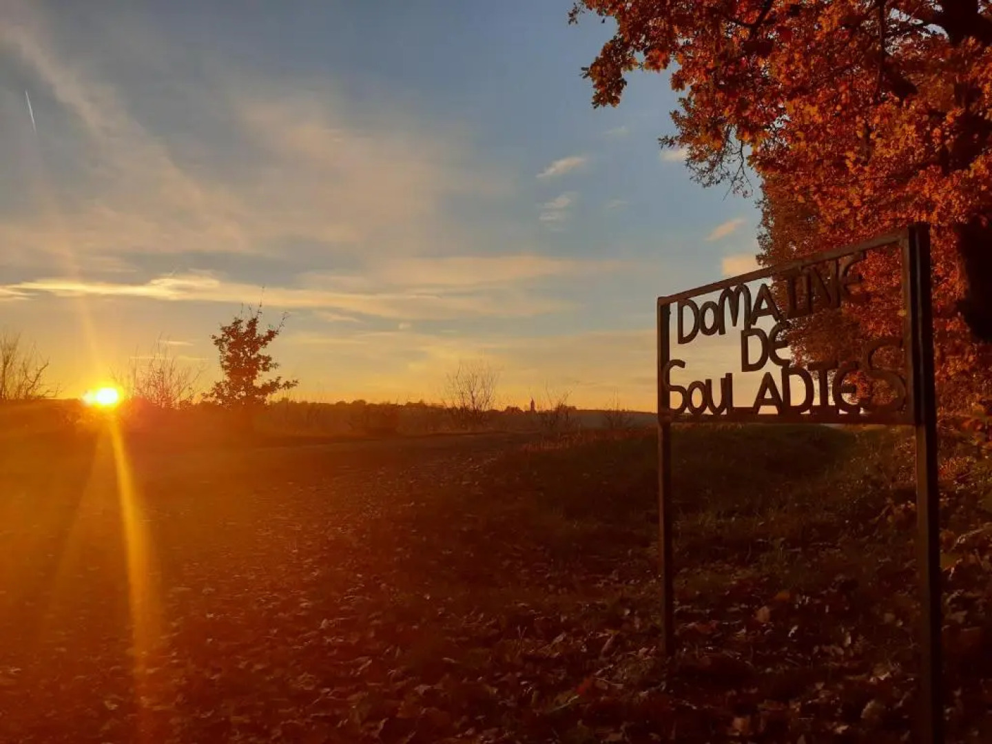 Domaine de Souladiès