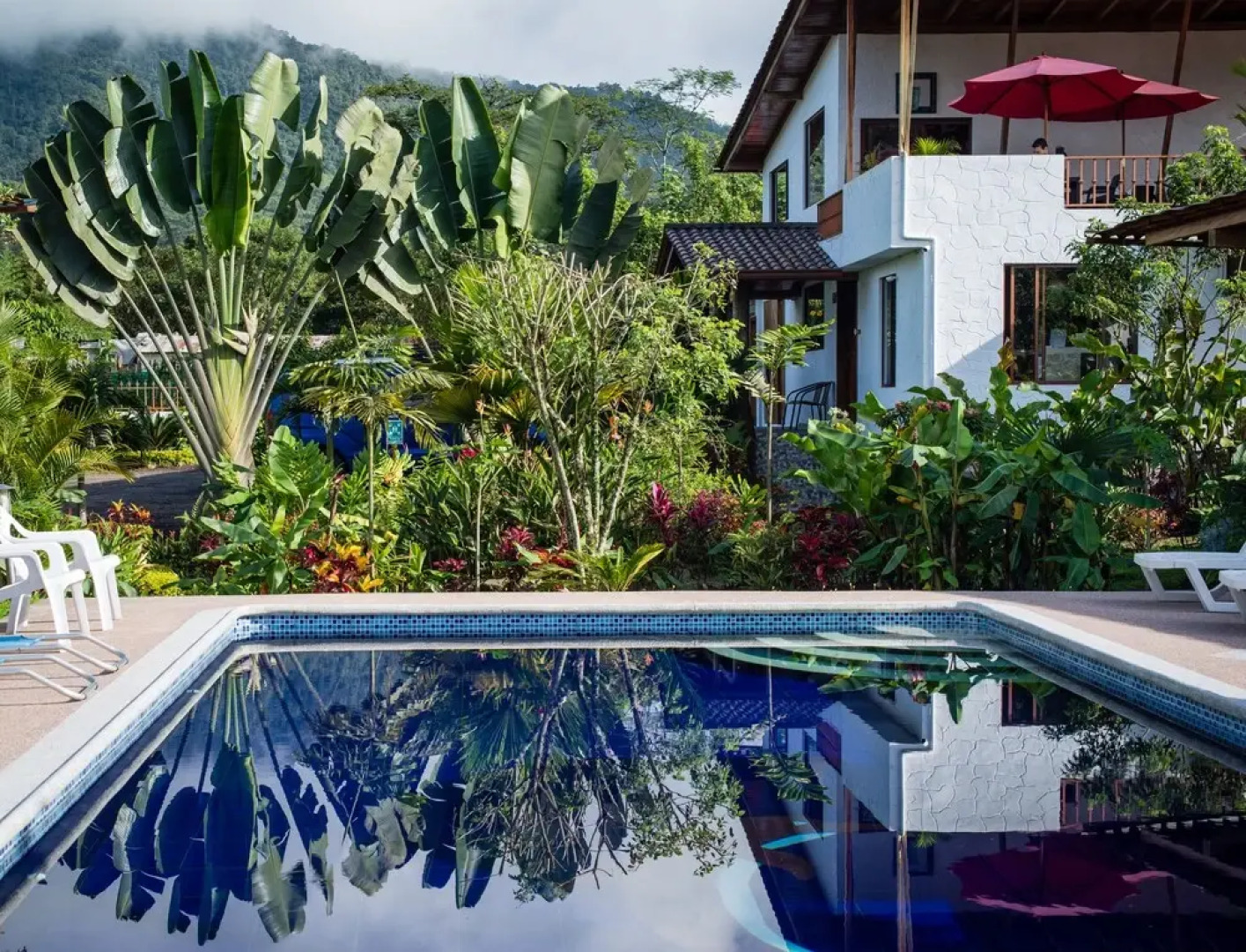 Mindo Coffee Lodge & Spa