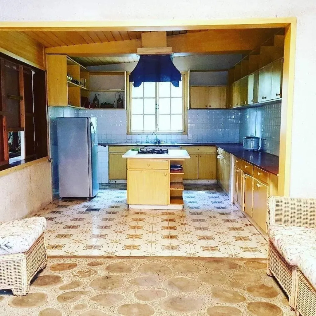 The Pelicans Castaway