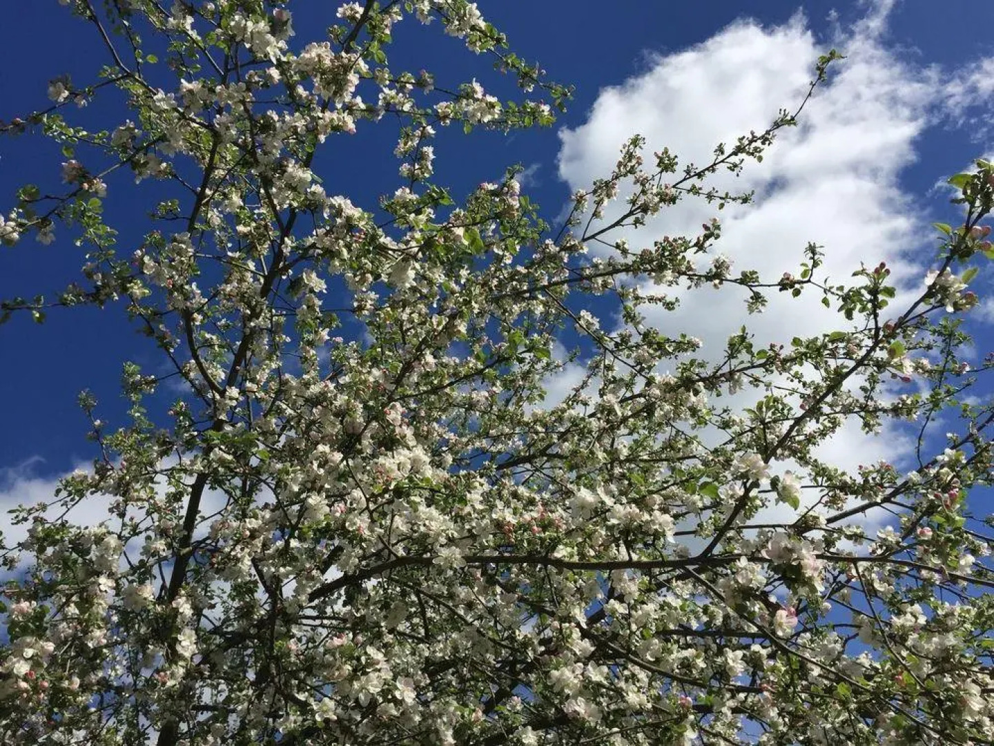 Отель «Коттедж на Волге в Завидово»