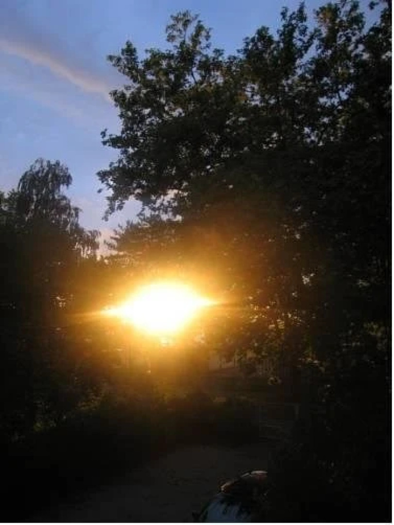 Sunflower Apartmanok