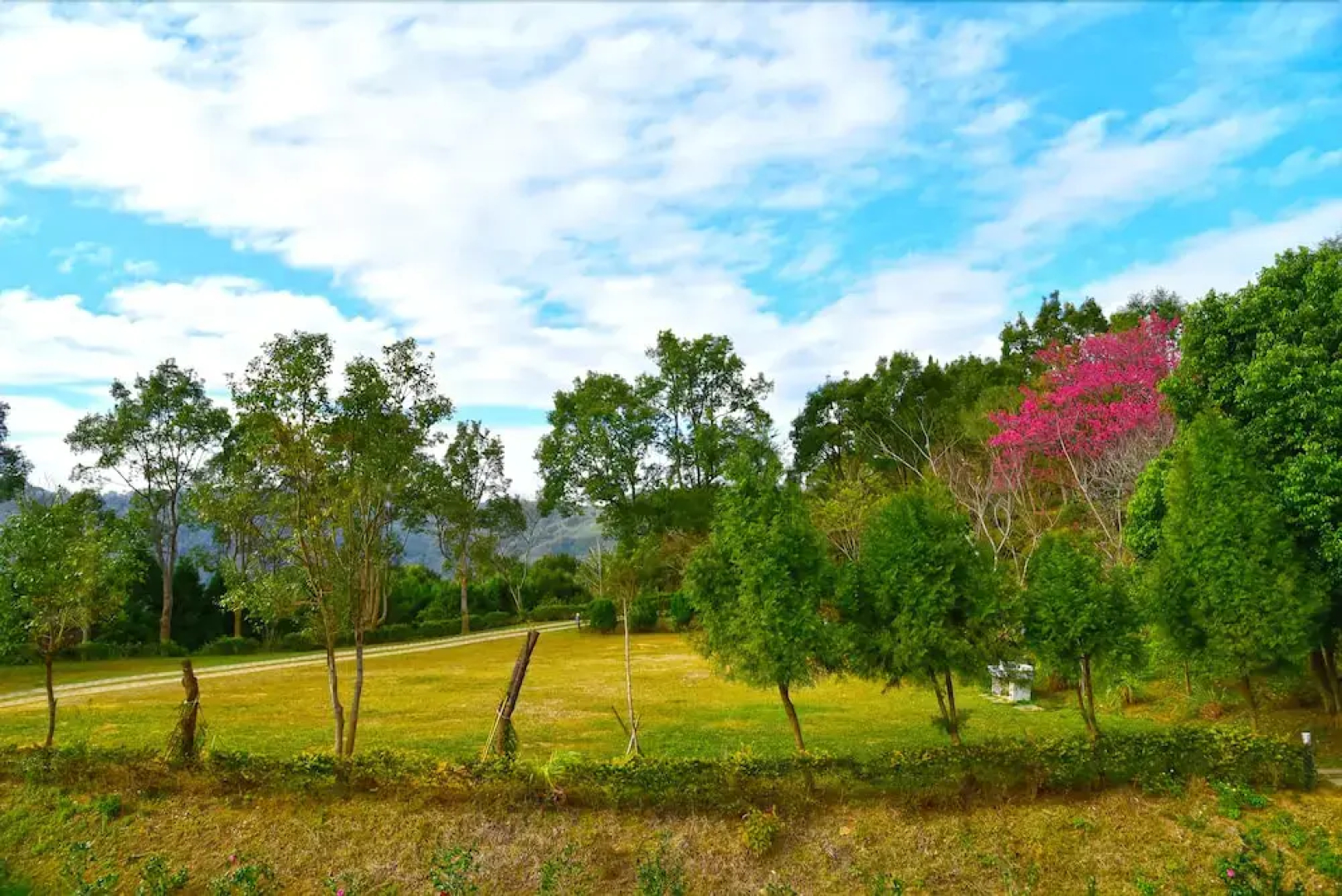 Shui Tian Camping