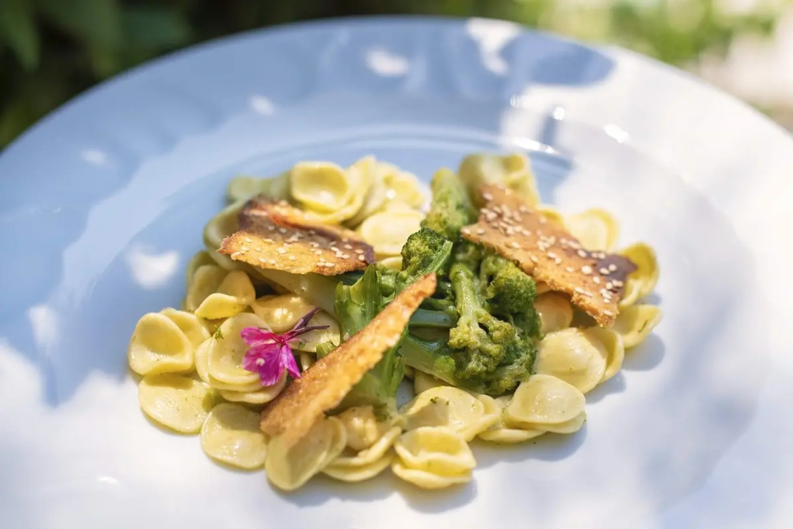 Ethra Reserve - Kalidria