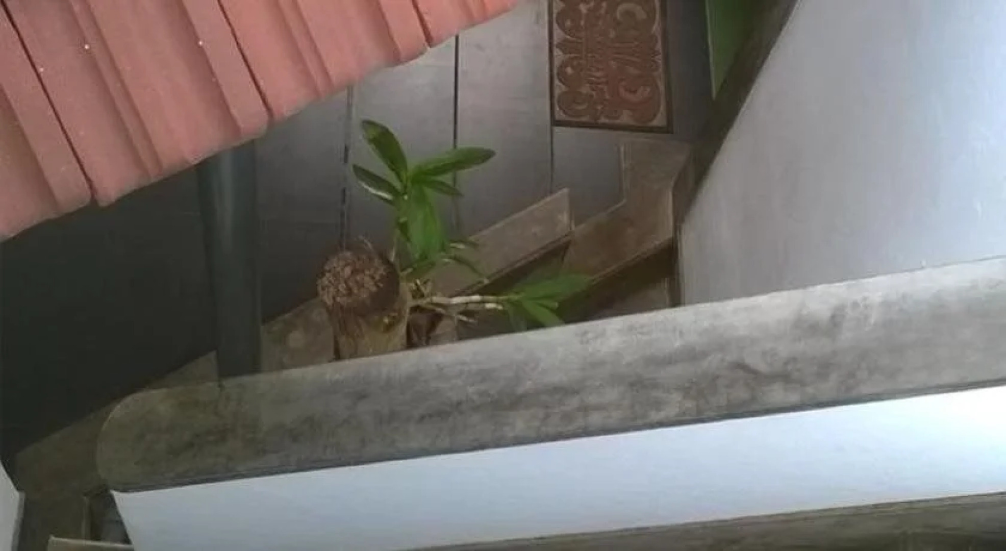 JLH Beach Hotel Hikkaduwa