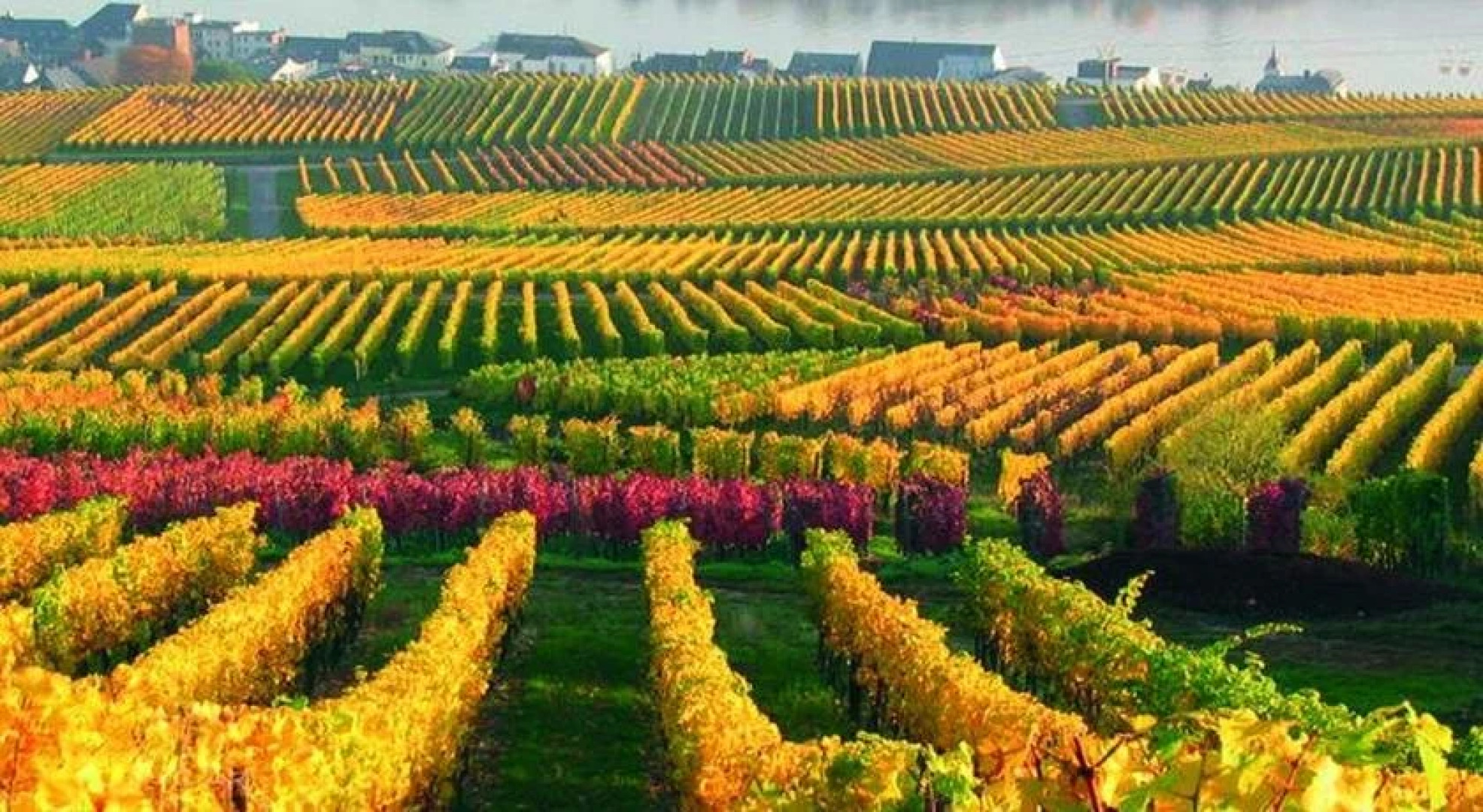 Landhotel Leineweber