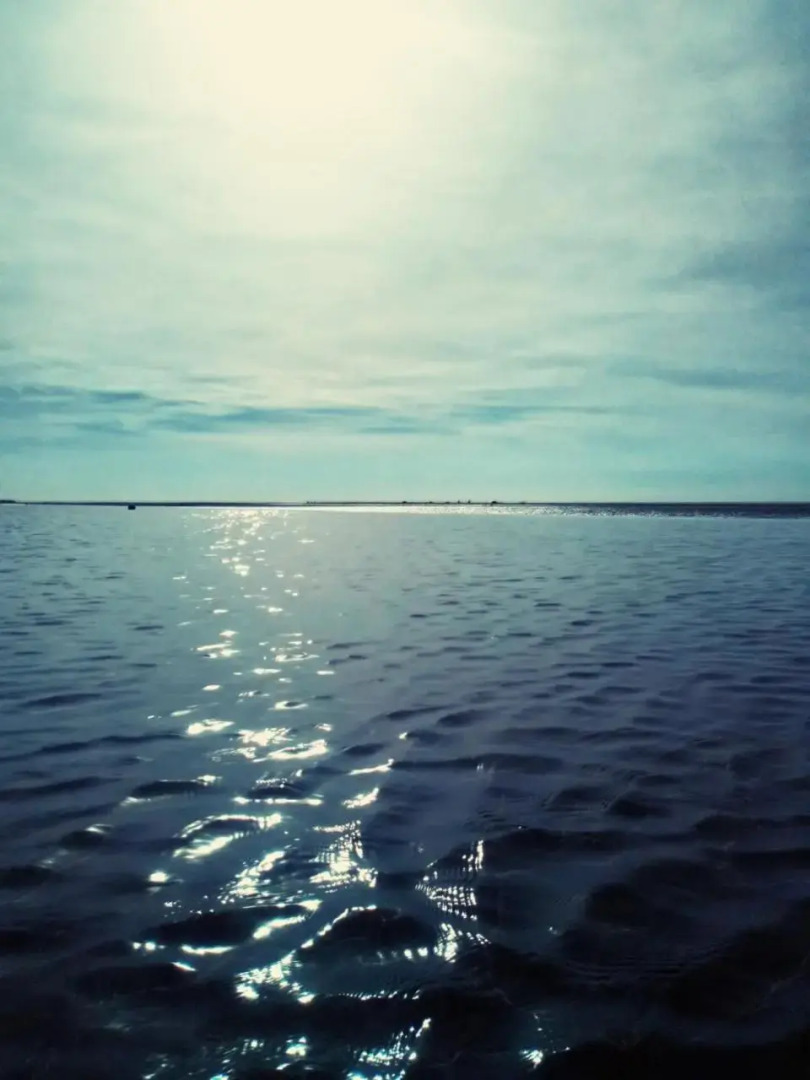 De Tureluur Bruinisse