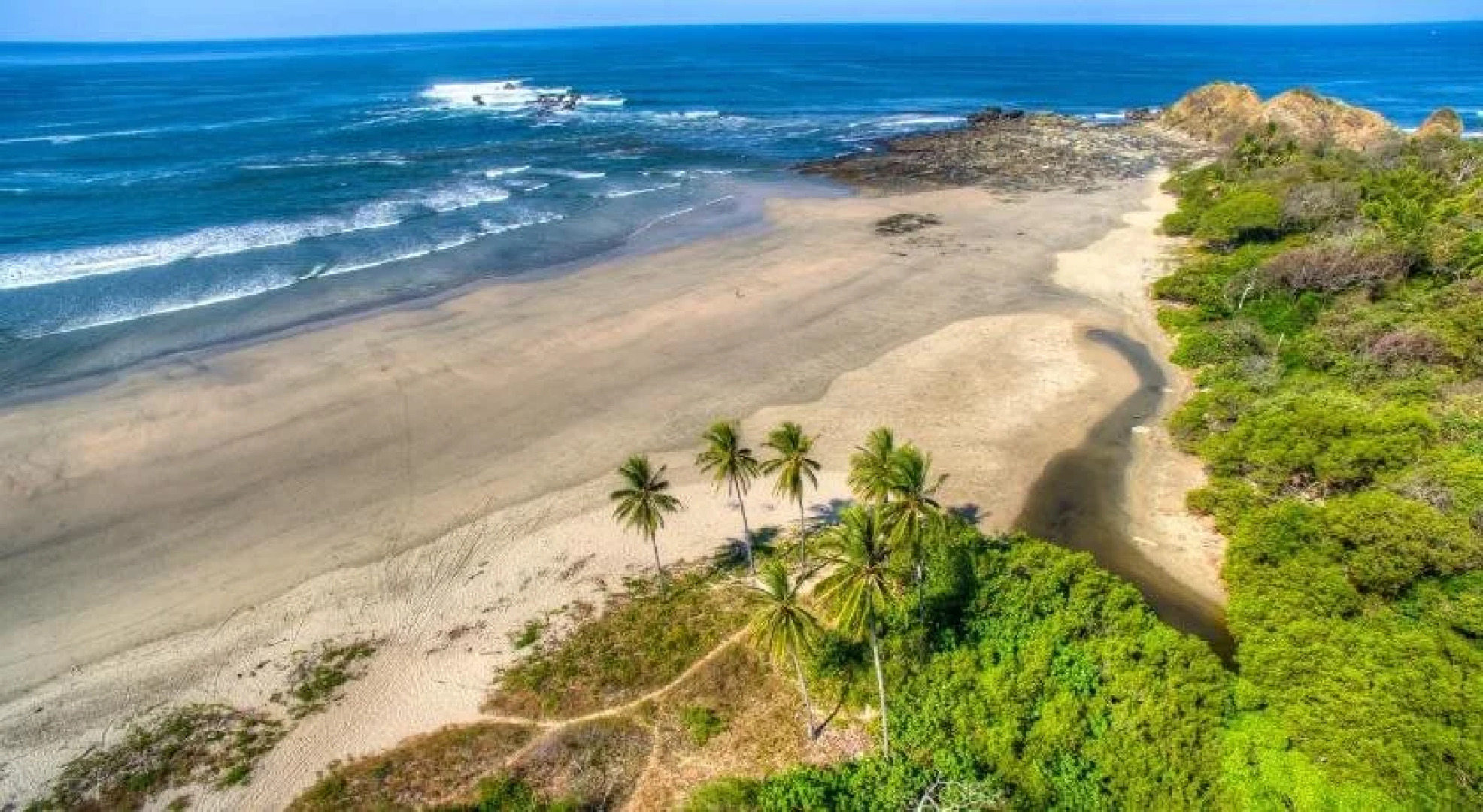 The Buena Vibra Collective