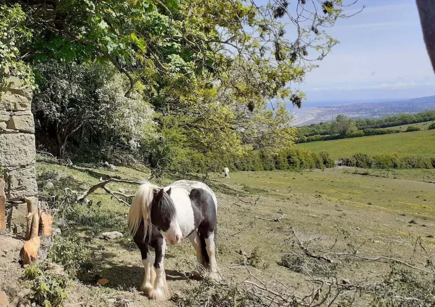 Henblas Holiday Cottage