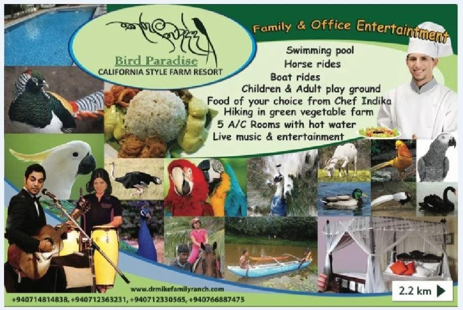 White Peacocks and Birds Resort