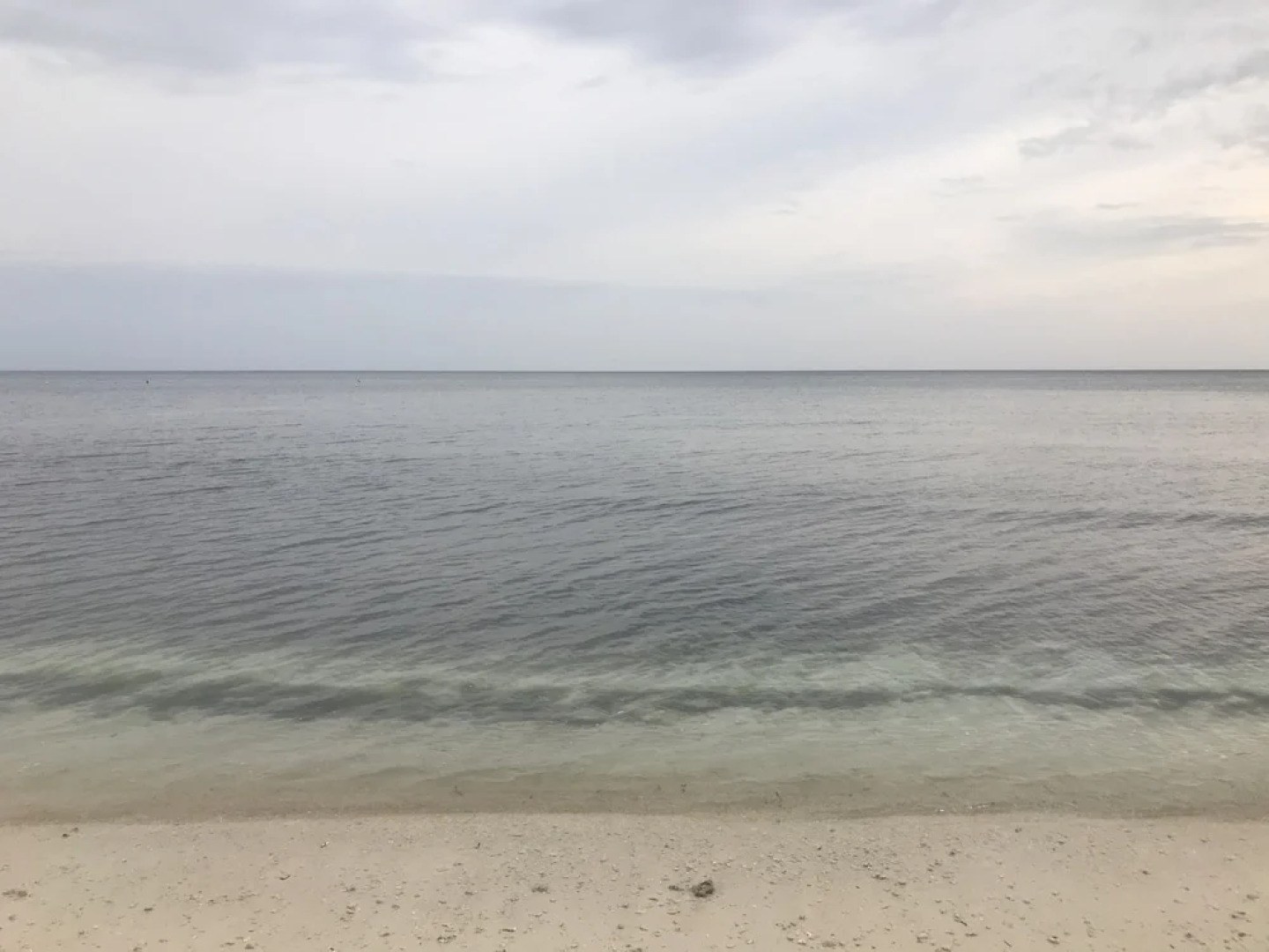 Mlb Beachfront Apartment