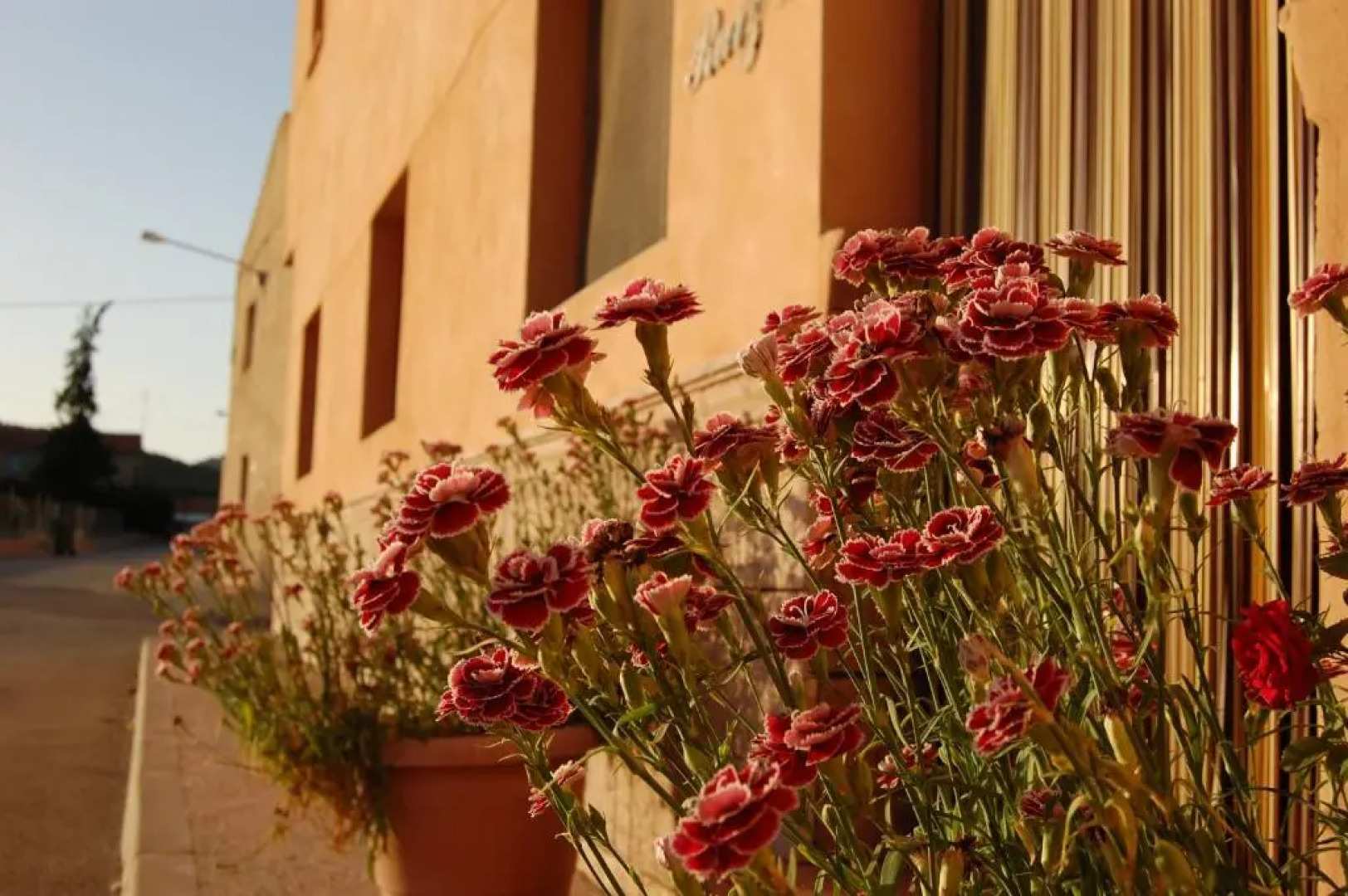 Alojamientos Casa Ruiz