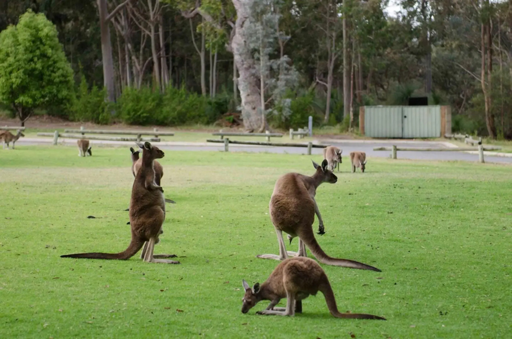 Yanchep Seaside Cottage