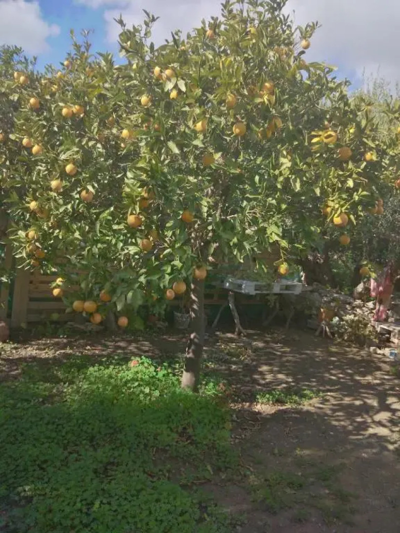 Private country house