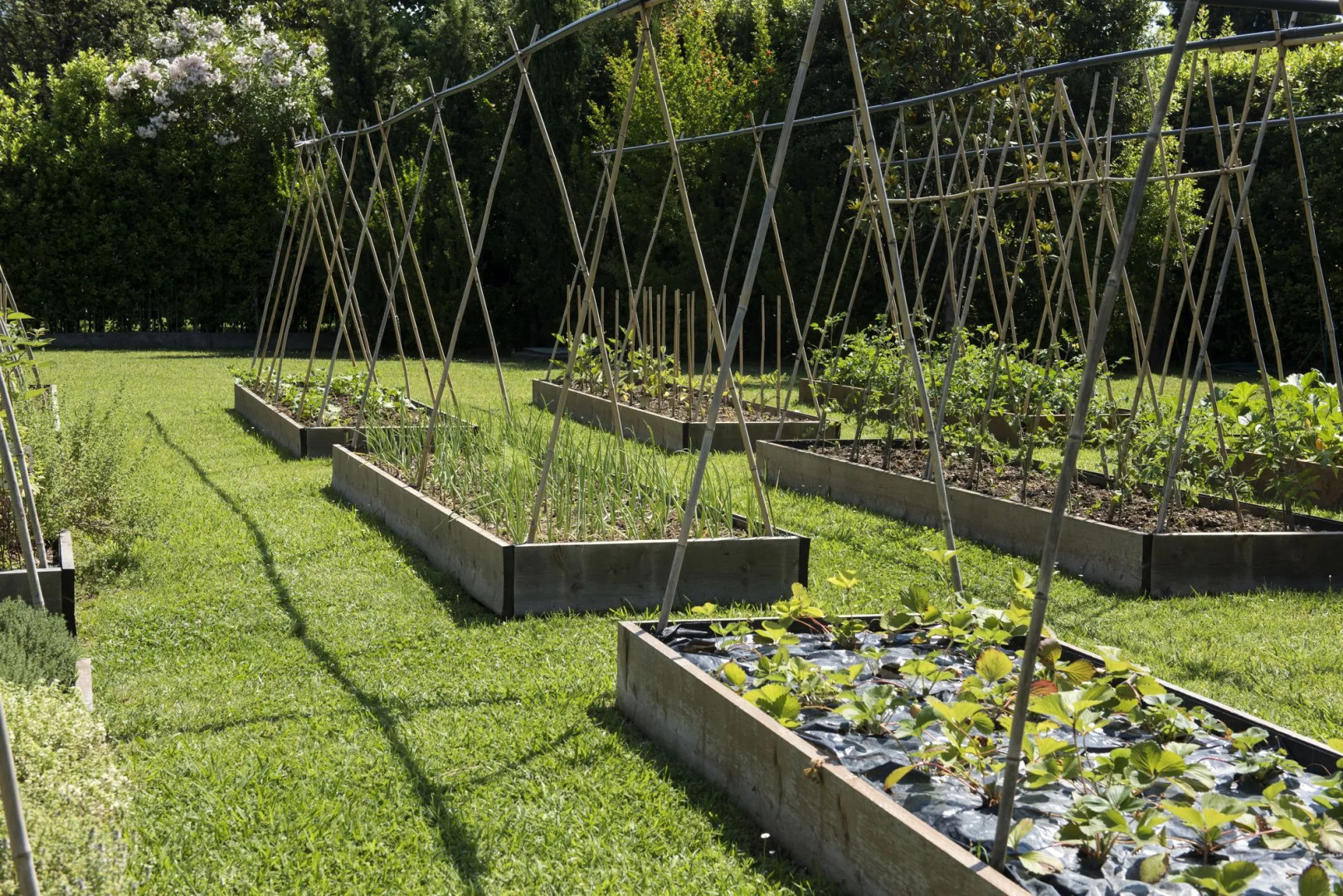 Hotel Hermitage Forte Dei Marmi