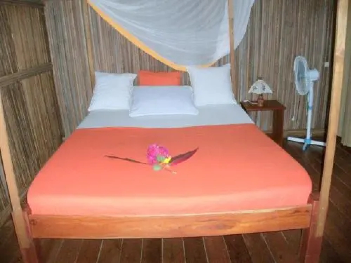 Les Dauphins De Nosy Be