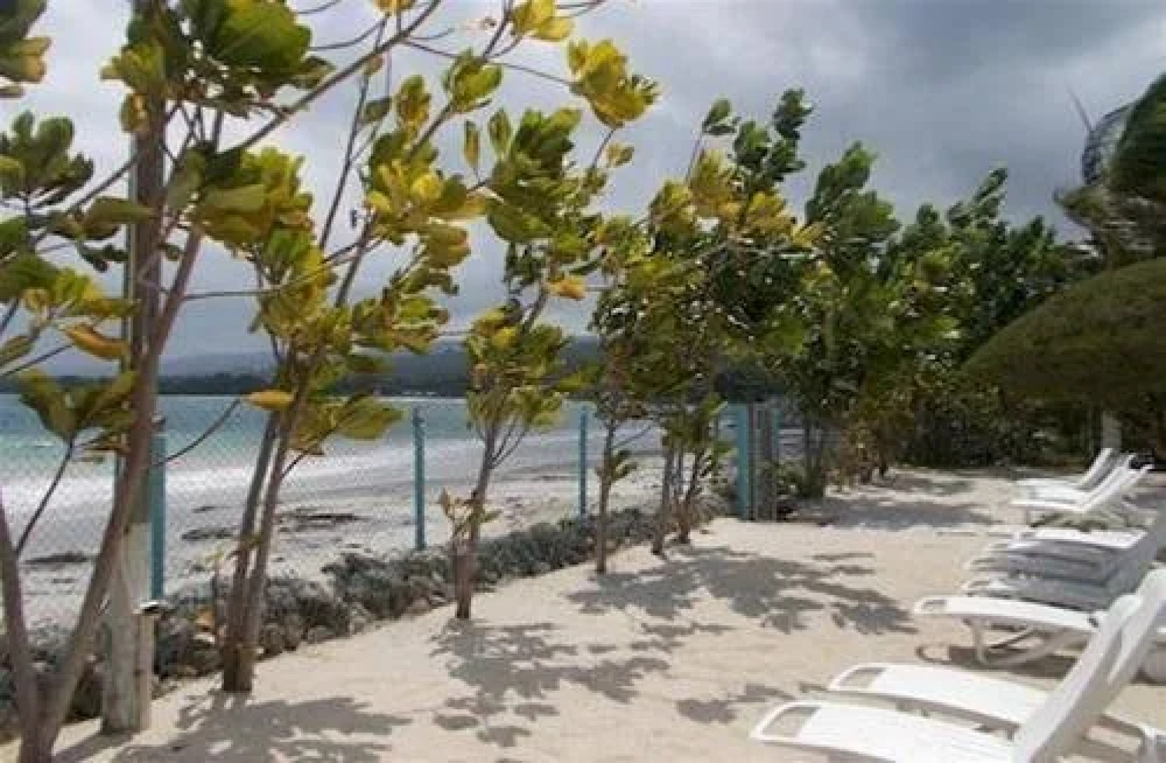 Tropical Escape @ The Palms of Richmond