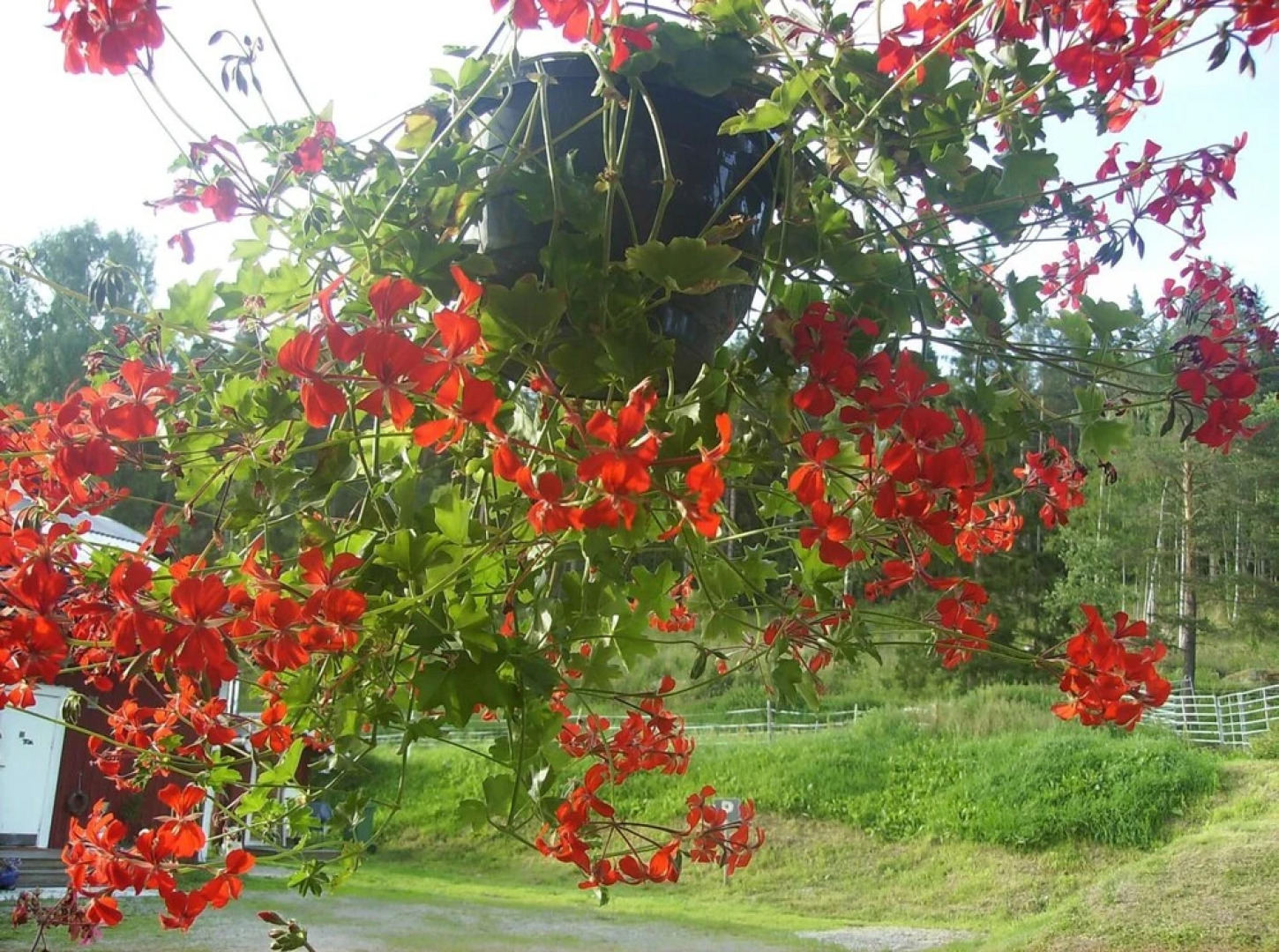 Täljegården Lantgårdshotell