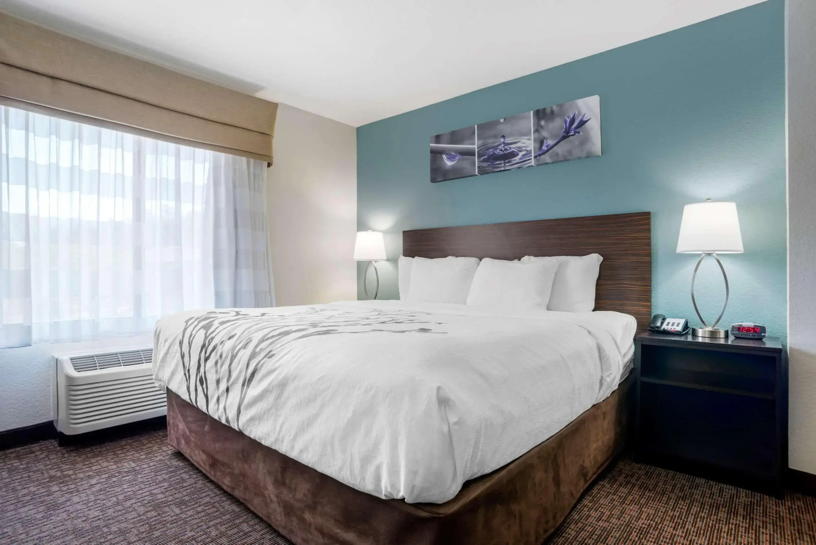 Sleep Inn & Suites Auburn Campus Area I-85