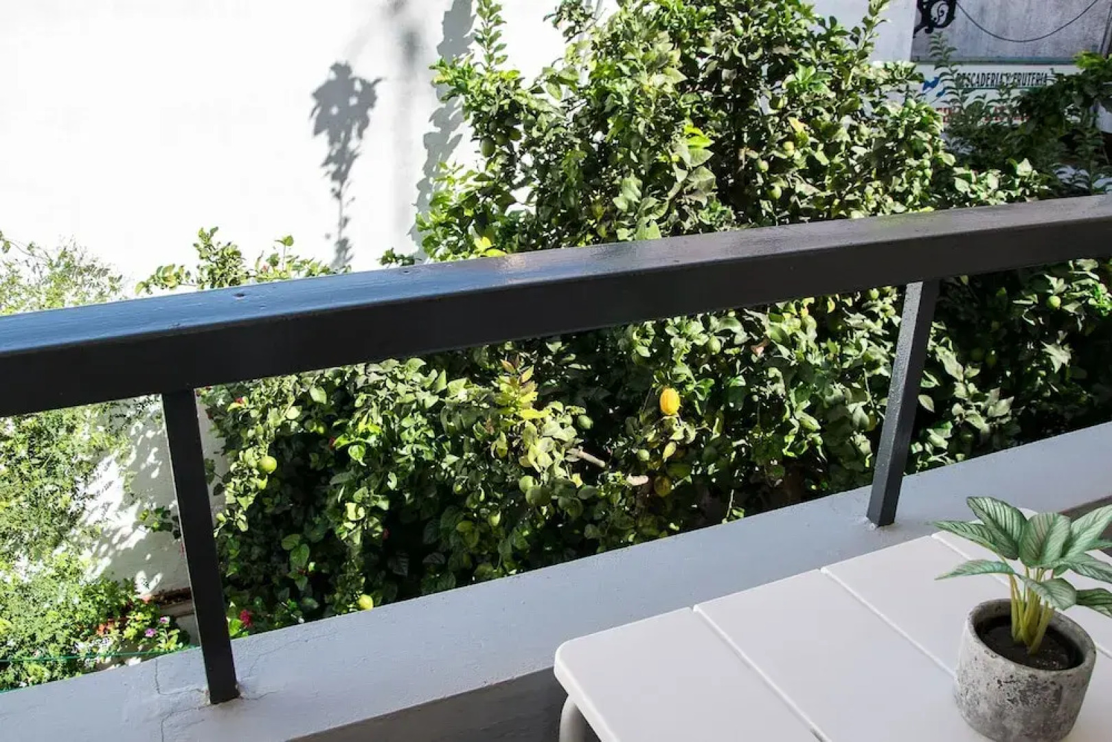 Apartamento Los Naranjos