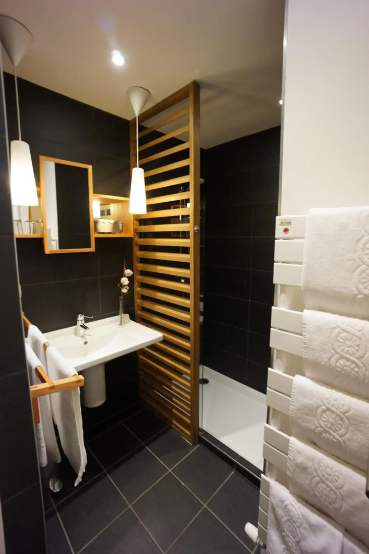 Terminus du Forez Saint Etienne Centre Gare Chateaucreux