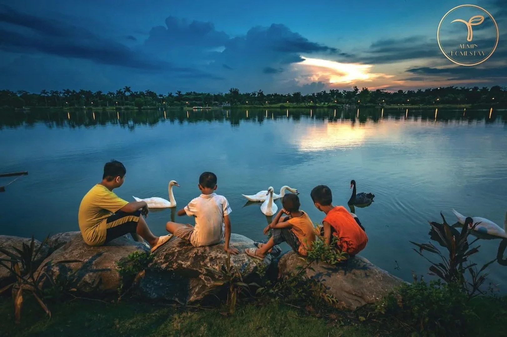 Armin Homes Studio Haven Park Ecopark