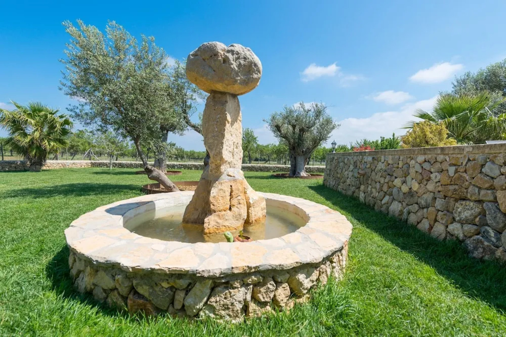 SA Parellada - Premium