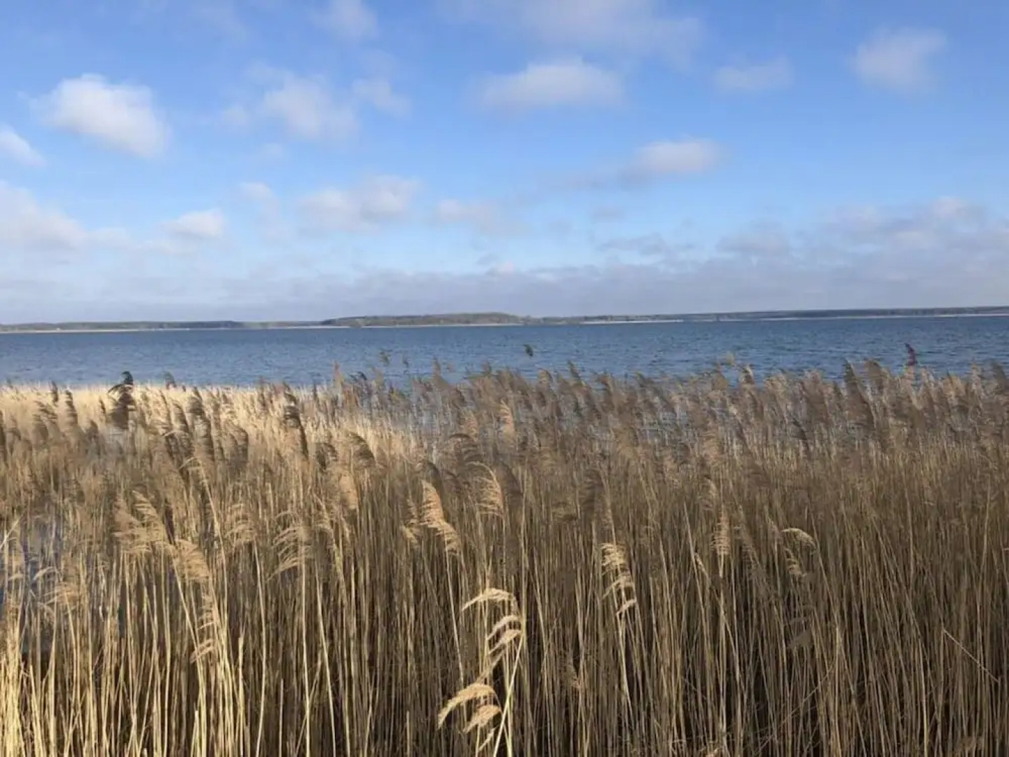 Apartment Captain's Terrace