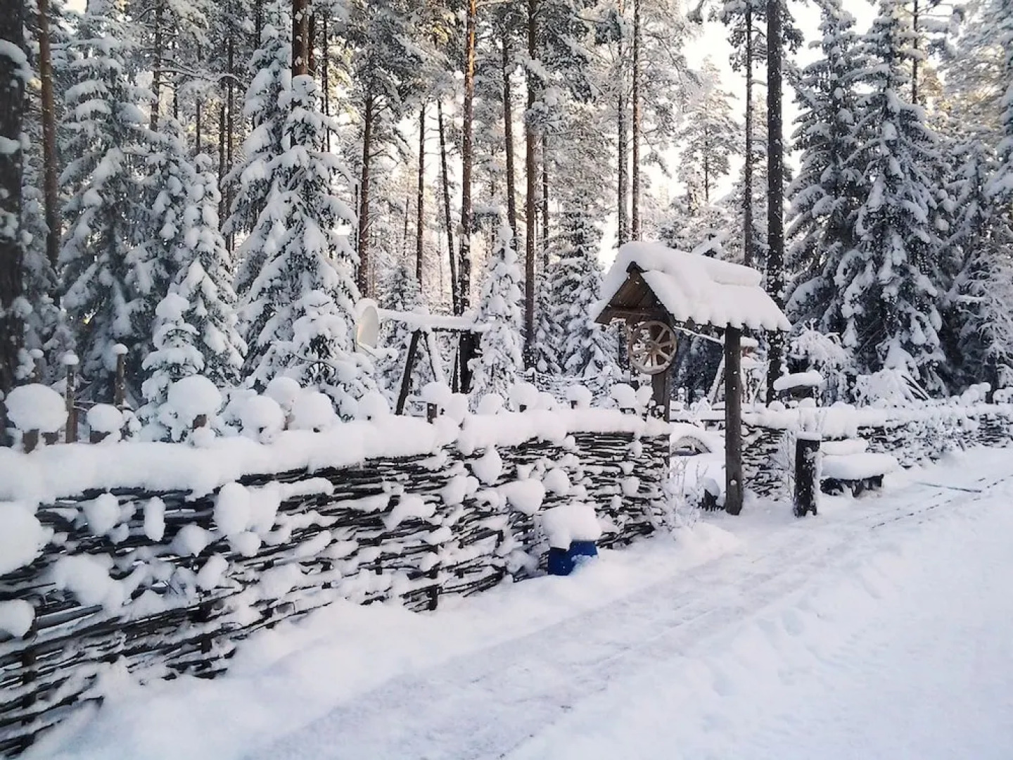 Отель «Шишки на Лампушке — Русская деревня»