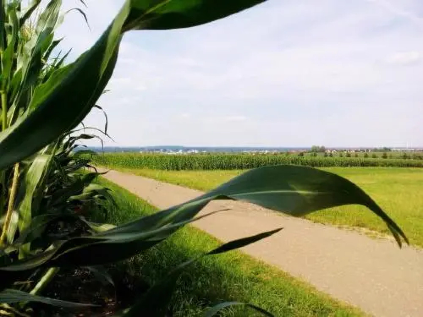 Pension & Gästehaus Villa Kühn