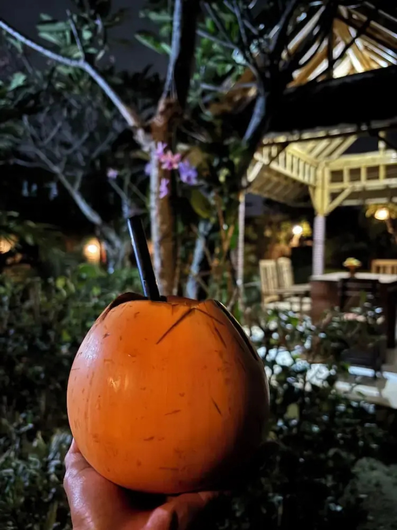 Sriwedari House Keramas