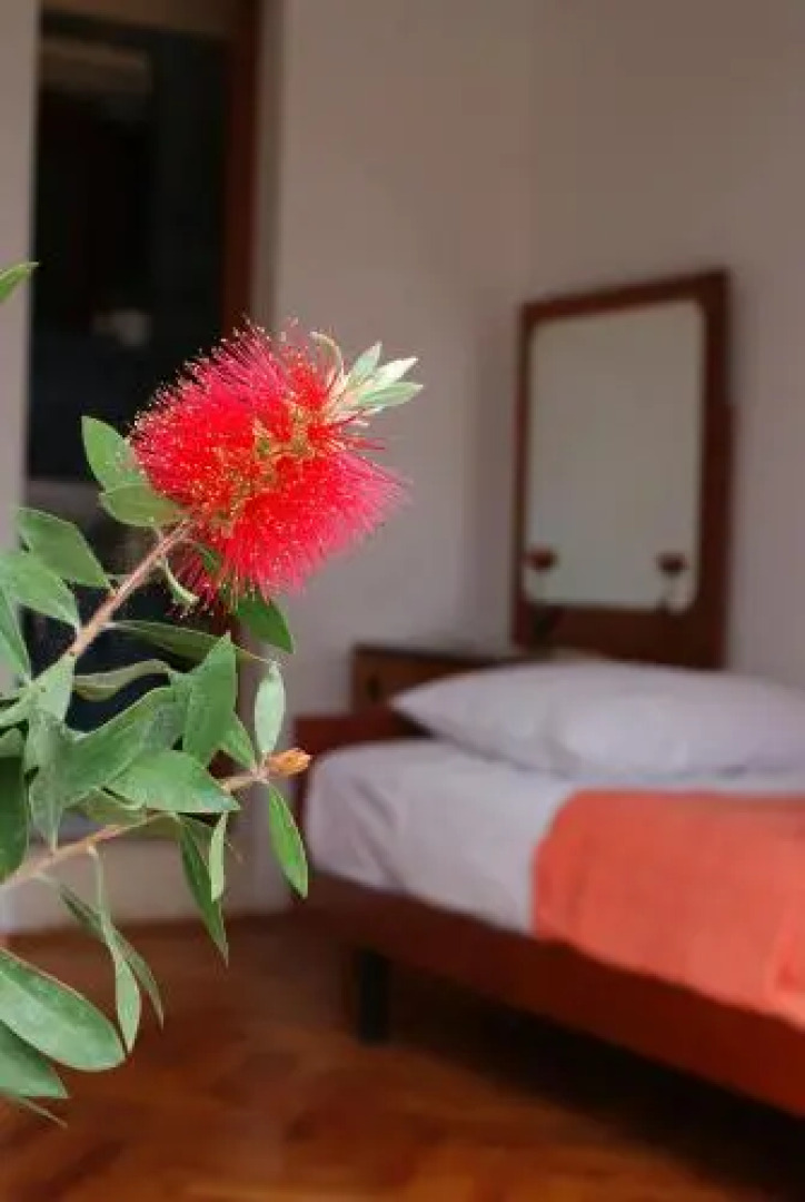 Korčula Guest House