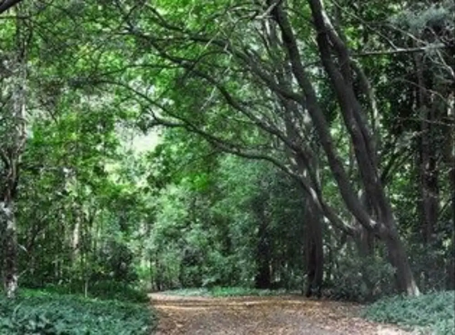 Meadowood Boutique Accommodation