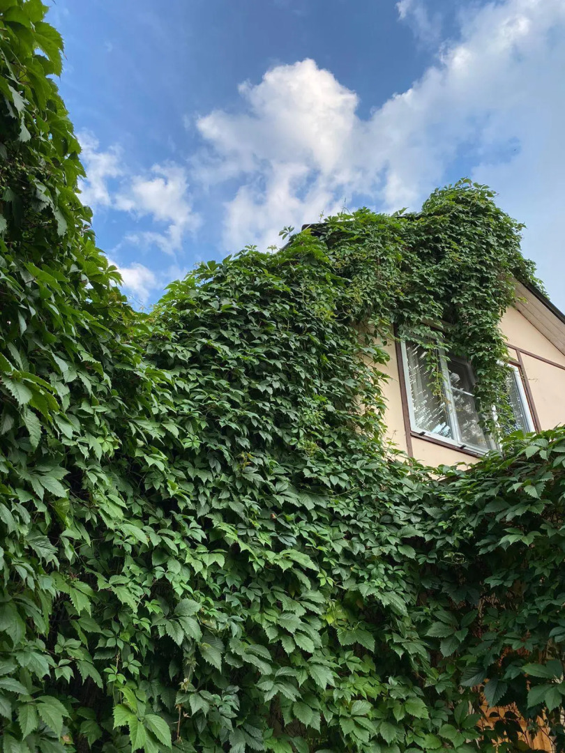 Коттедж на улице Московская 9