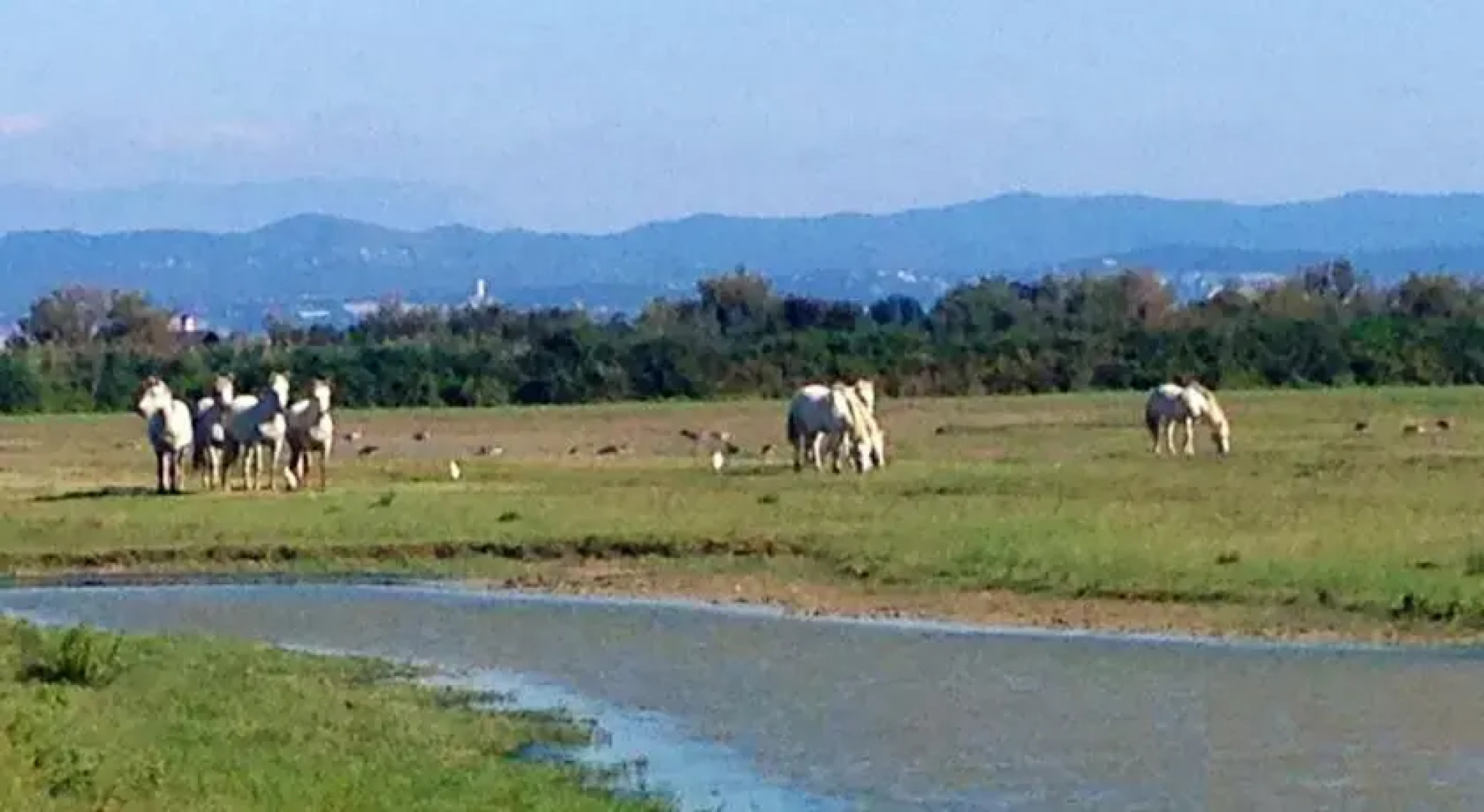 Riserva Naturale Foce dellIsonzo