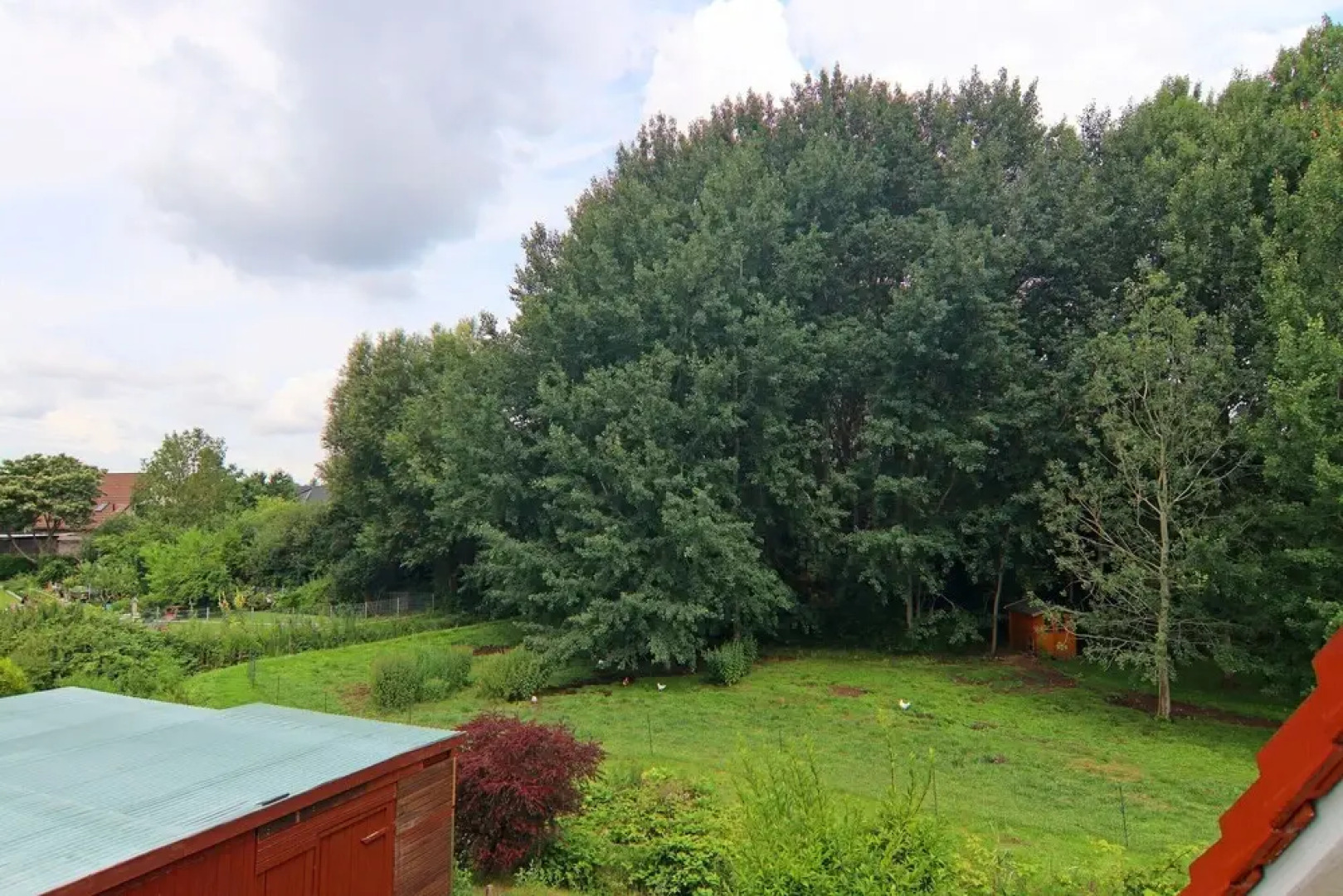 Ferienwohnung Kranichring in Negast